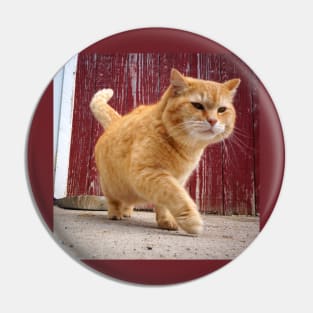 Fat Orange Cat Pin