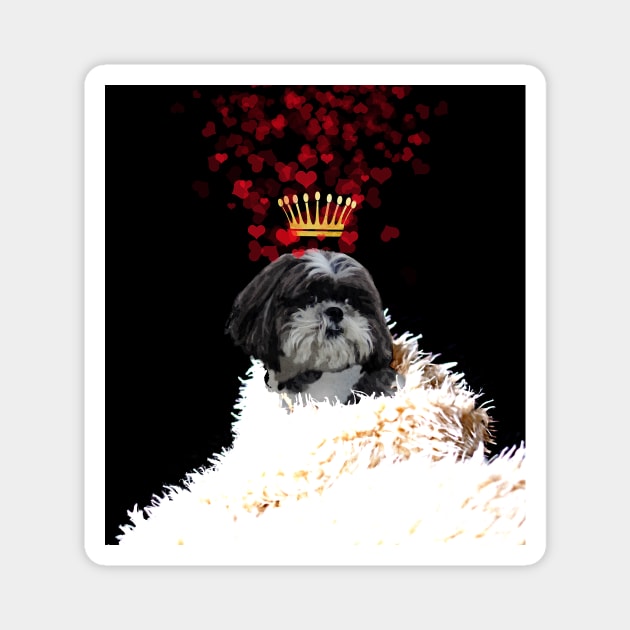 Shi Tzu with a crown of hearts, puppy love Magnet by LittleBean