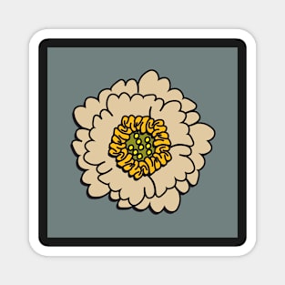 White Zinnia Magnet