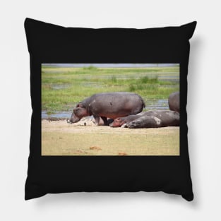 Hippopotamus, Kenya Pillow