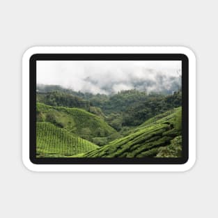 Cameron Highlands - Malaysia Magnet