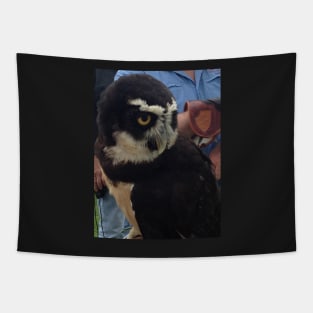 Spectacled Owl Tapestry