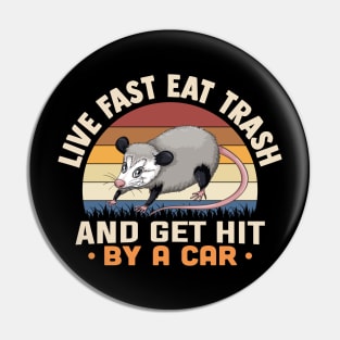 Live Fast Eat Trash And Get Hit By A Car Pin