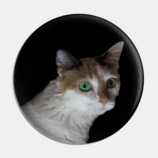 white cat green eyes Pin