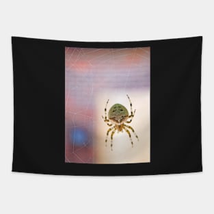 Catface Spider Tapestry