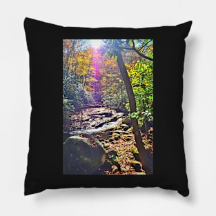 Rocky Creek Pillow