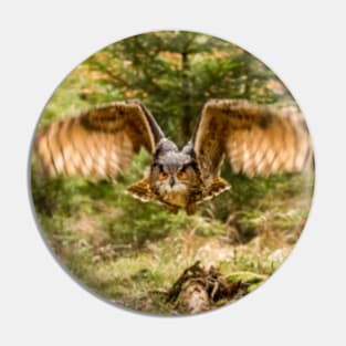 Eagle Owl in woodland Pin