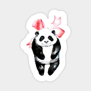 Panda as a gift Magnet