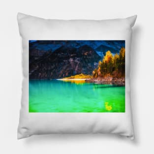 AUTUMN DREAM Pillow