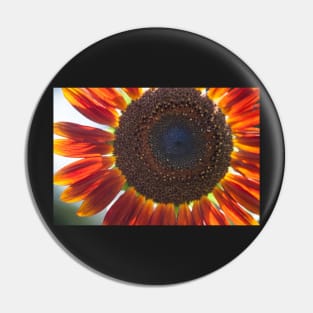 Sunflower Series IV Pin