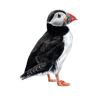 Puffin colored pencil drawing T-Shirt