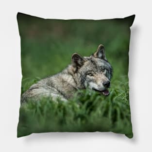 Timber Wolf Pillow