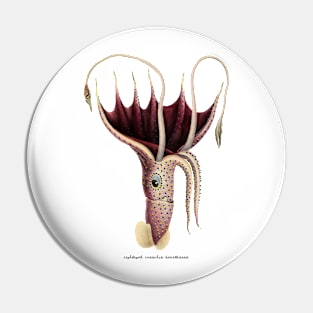 Cephalopods Pin