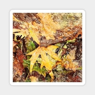 Fallen leaves floating in the river, 2, (Set of 3), fall, autumn, xmas, holiday, nature, forest, trees, winter, color, flowers, orange, art, botanical, leaves, leaf, floral, wet, rain, water, holidays, digital, spring, aqua, graphic-design, christmas Magnet