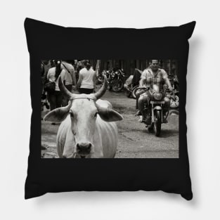 Cows Black white retro Street Photography Pillow