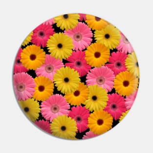 gerbera flowers Pin