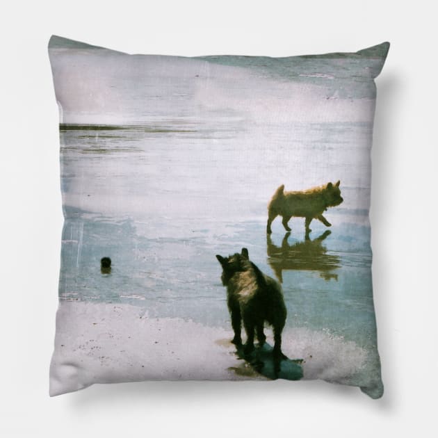 dog days Pillow by The Blue Box