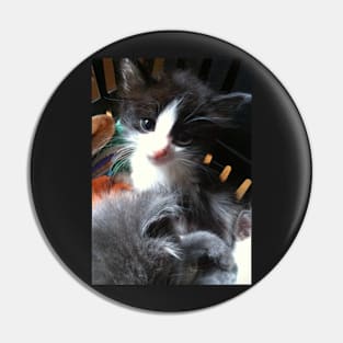 Cute Black and White Kitten Pin