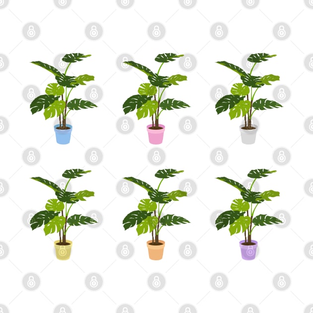 Potted Monstera Plant pack by Gold Star Creative