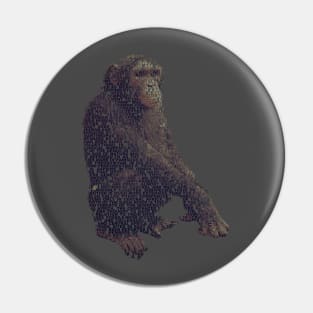 Chimpanzee Info Graphic Pin