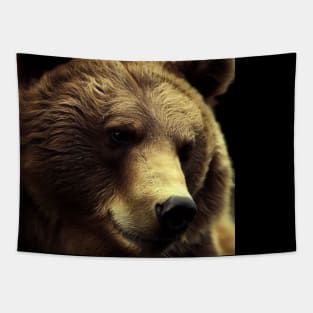 A brown bear in nature that looks cute and cuddly looks warm. Tapestry