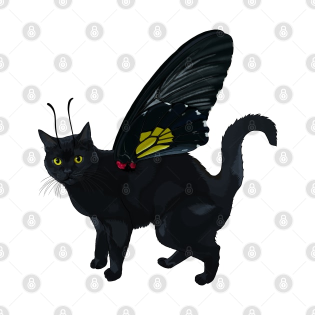 Black Southern Birdwing Shorthair Flitter Kitty by CarleahUnique