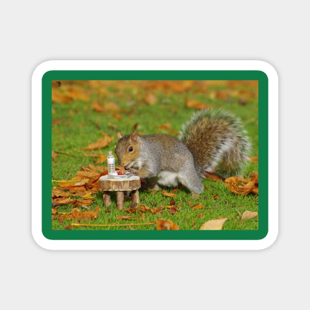 squirrel pick nick Magnet by Simon-dell