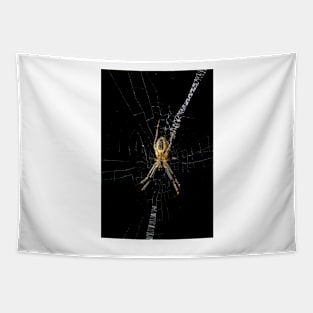 St Andrews Cross Spider Tapestry