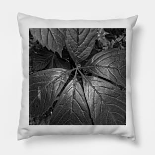 Black and White Big Leaves Pillow