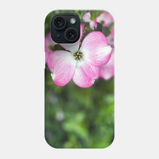 Dogwood Flowers in Spring Phone Case