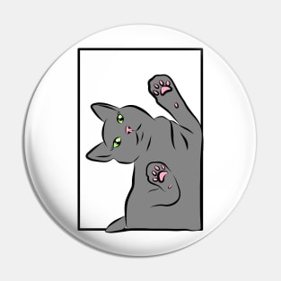 Grey cat Illustration Pin