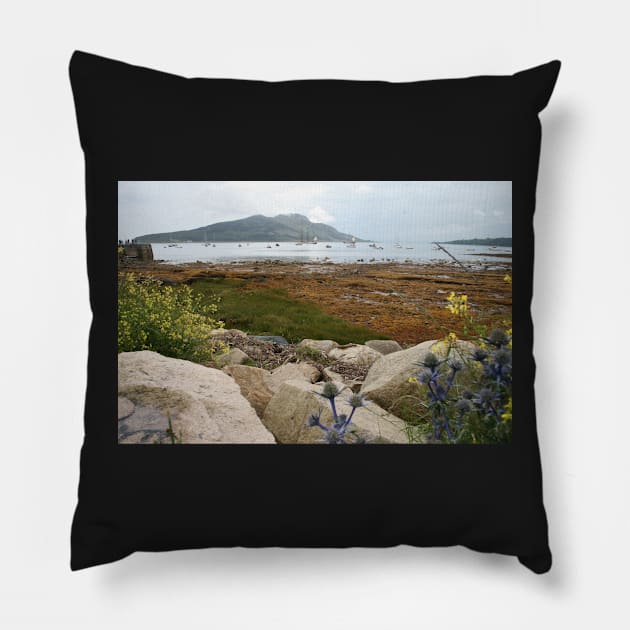 Busy bay Pillow by orcadia