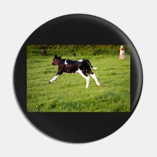 The Galloping Calf Pin