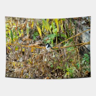 Black-capped Chickadee Looking Around Tapestry