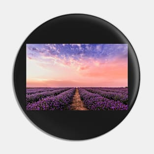 Lavender field under multicolored cloudy sky Pin