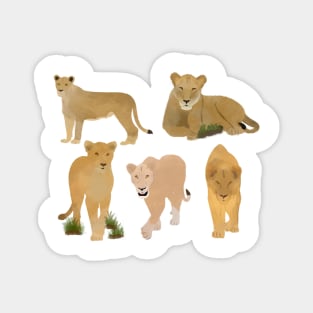 Fierce Lioness Pattern Magnet