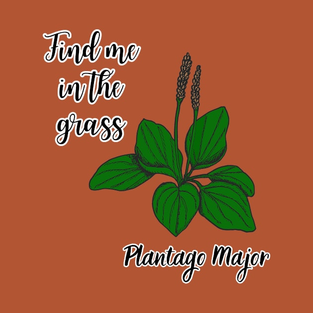 Find me in the grass Plantago major by Kamila's Ideas