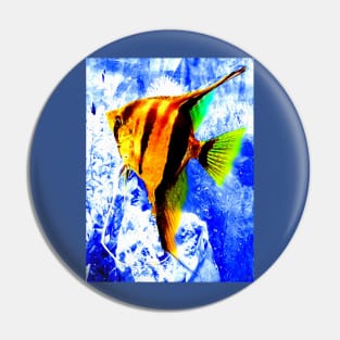 Angelfish Pin