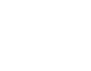 My dog is smarter than the president! Magnet