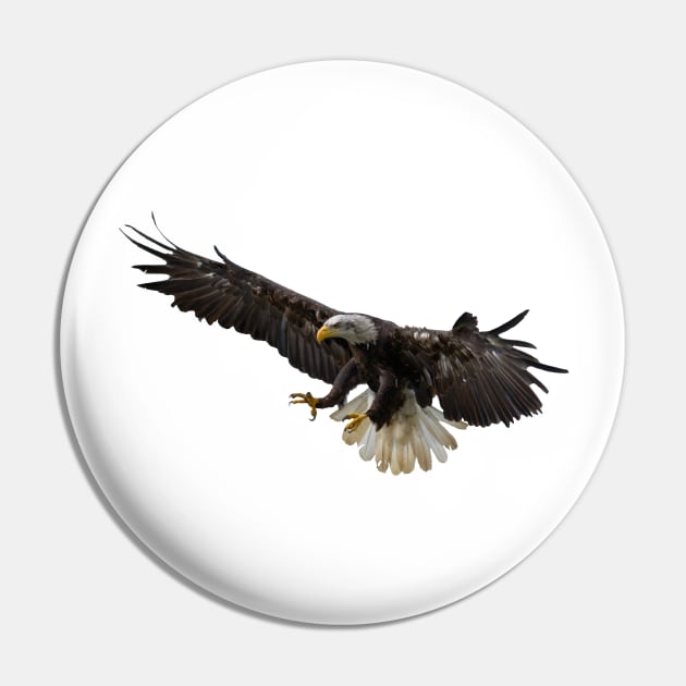 Bald Eagle Pin by Shirasaya