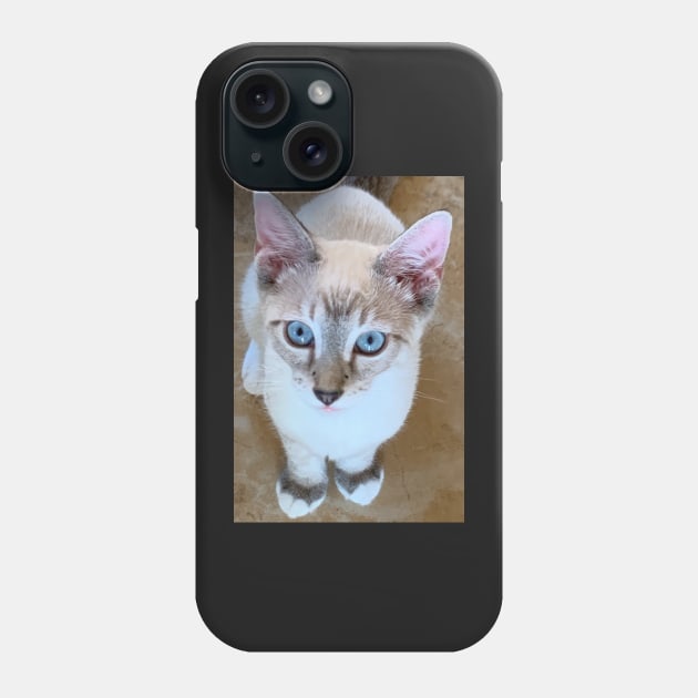 Amigo Phone Case by kschowe