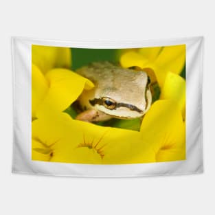 Tiny Pacific tree frog (Pseudacris regilla) sitting in a flower Tapestry