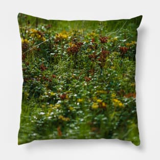 Luscious Morning Dew On Green Grass Pillow