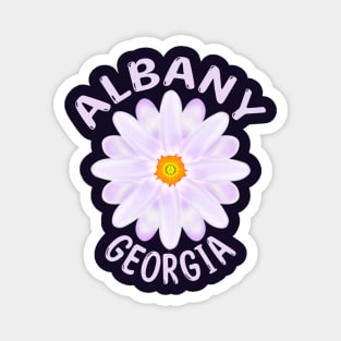 Albany Magnet