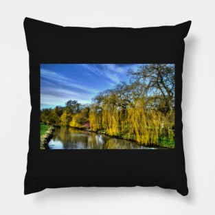 Weeping Willows Pillow