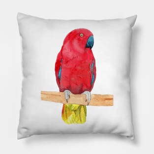 eclectus parrot watercolor red Pillow