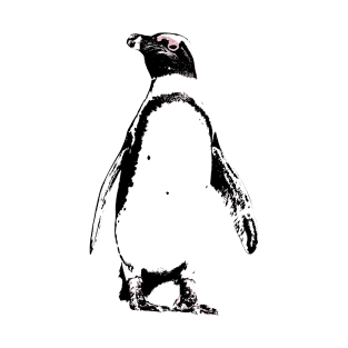 African Penguin Colour T-Shirt