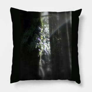 snowy Oregon ferns in trees 3 Pillow