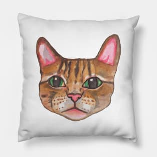 Real cat print for cat lovers. Pillow