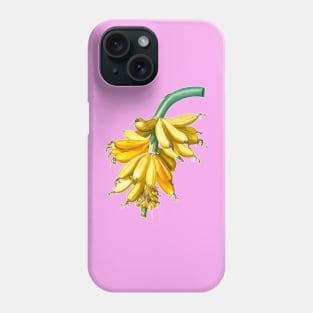 Banana bunch Phone Case